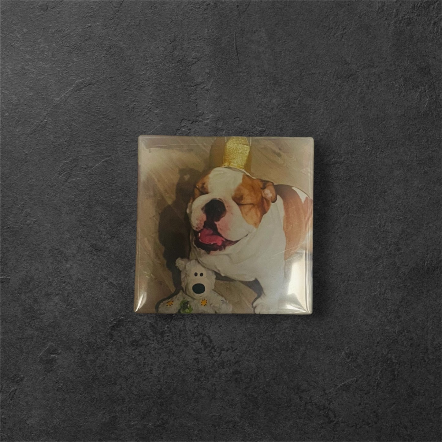 Personalized Photo Magnet (Set of 9)