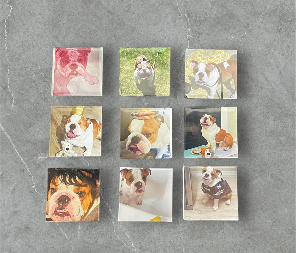 Personalized Photo Magnet (Set of 9)
